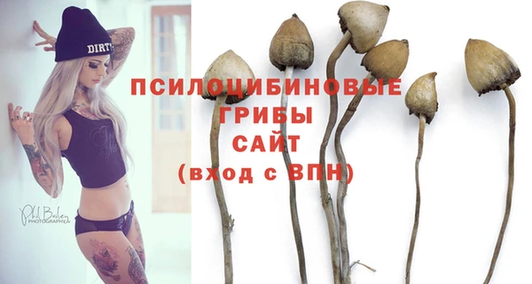 дурь Медногорск