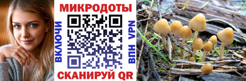 Галлюциногенные грибы мухоморы  купить  сайты  Балаково 