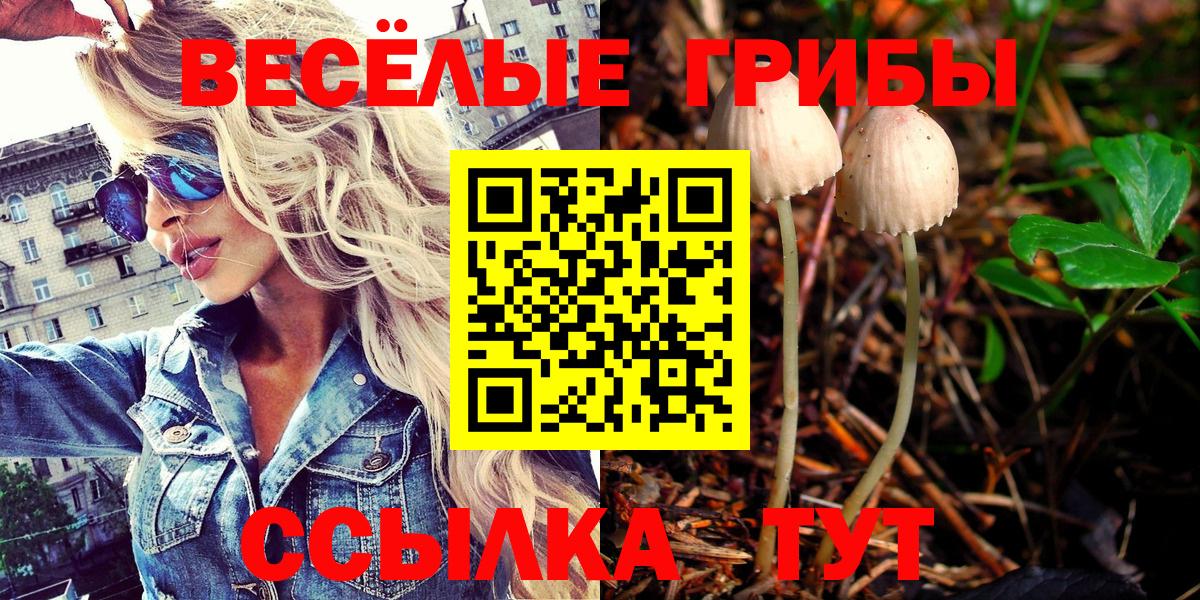 Псилоцибиновые грибы прущие грибы  наркота  Балаково 