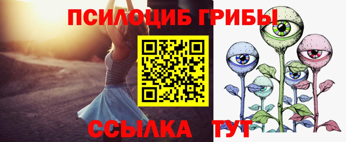 купить наркотик  Вход с VPN  Балаково  Псилоцибиновые грибы мухоморы 